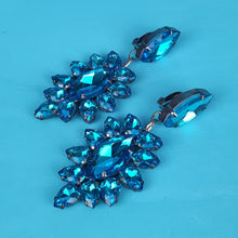 Load image into Gallery viewer, Lily Crystal Earrings