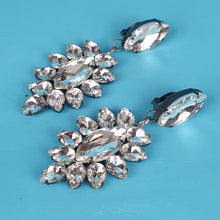 Load image into Gallery viewer, Lily Crystal Earrings