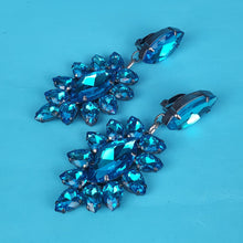 Load image into Gallery viewer, Lily Crystal Earrings
