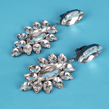 Load image into Gallery viewer, Lily Crystal Earrings
